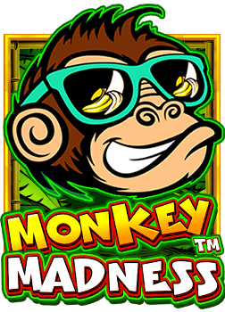 สนุกสุดเหวี่ยงกับ slot แคน ดี้มาเฟีย สล็อต 88 ที่คุณไม่ควรพลาด